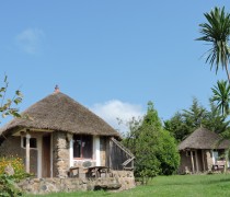 On a promontory of Lake Tana, Tim and Kim Lodge is a lovely little hideaway. The cottages are dotted around attractive gardens sloping down to the lake.

The 10 cottages are made up of 7 en-suite stone rondavals and 3 mud houses. All cottages have thatched roofs, and