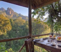 The rolling hills and craggy peaks of Bale Mountain National Park are filled with 87 mammal species including the rare Abyssinian Wolf and the Mountain Nyala. Bale Mountain is home to 320 species of birds including 170 migratory birds and 14 endemic species. Bale Mountain Lodge has breath-taking views
