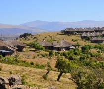 Styling itself the highest hotel in Africa, at 3,260m, Simien Lodge sits on the edge of the escarpment with views that have to be seen to be believed.

The 26 en-suite rooms and 2 family rooms are divided between the tukuls – traditional Ethiopian circular buildings – and the